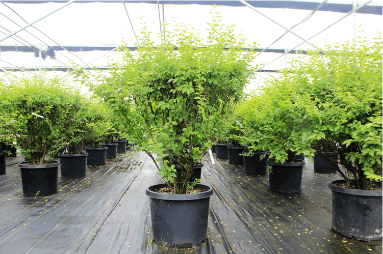 彩运网(中国游)官方网站