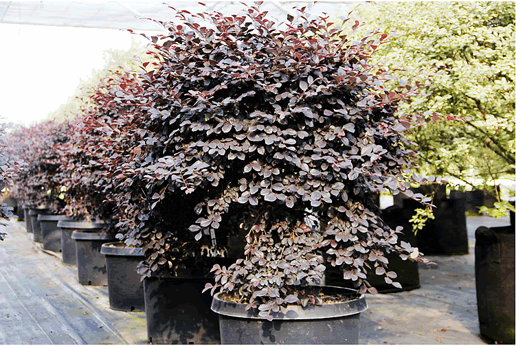 彩运网(中国游)官方网站