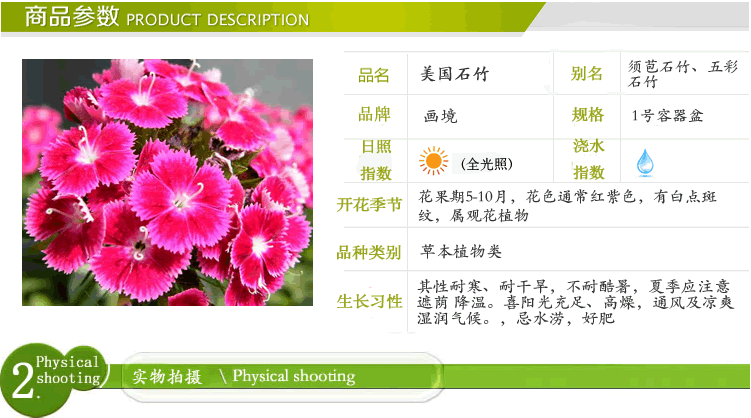 彩运网(中国游)官方网站