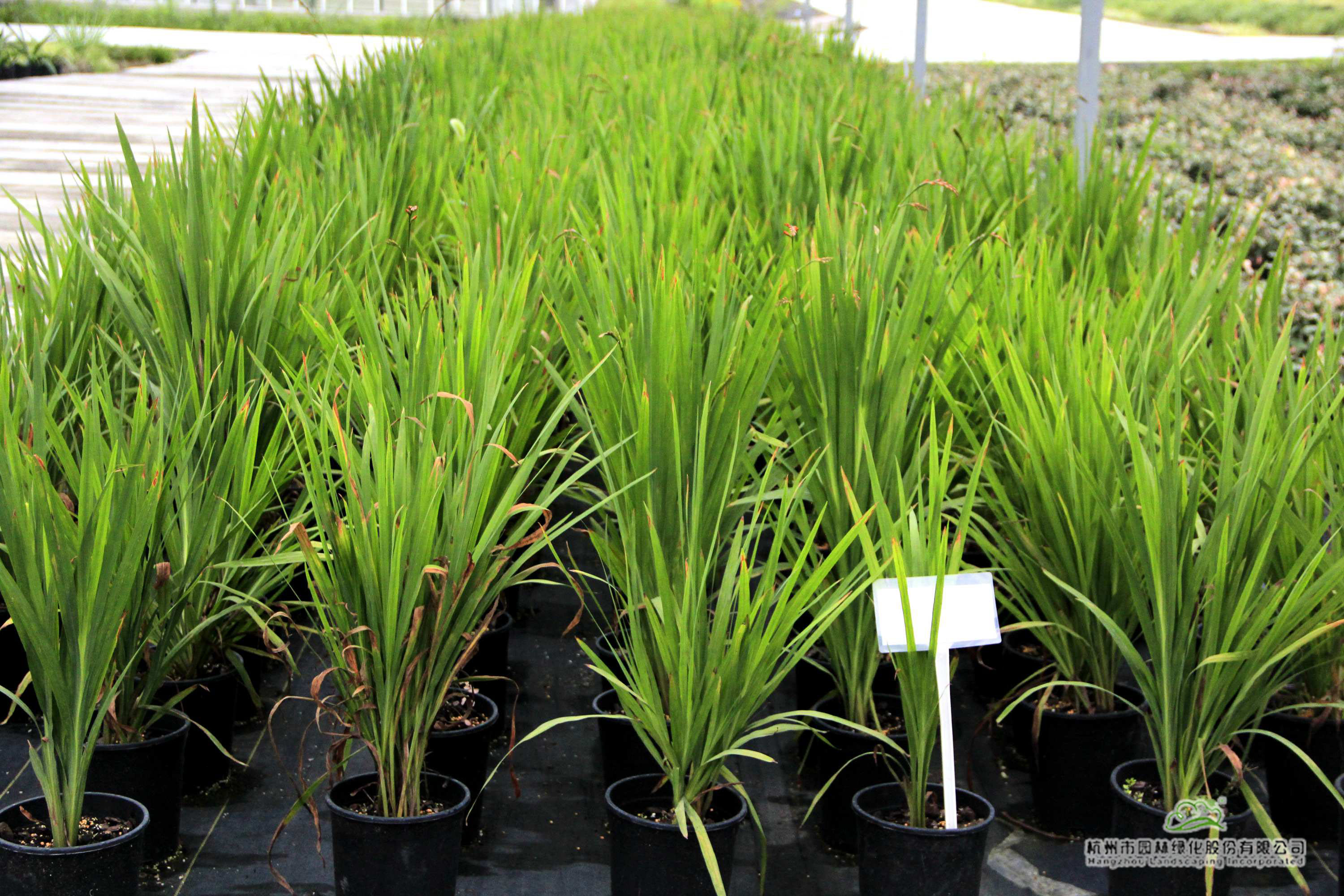 彩运网(中国游)官方网站