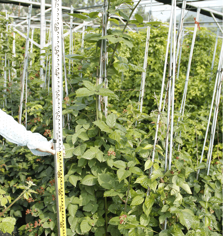 彩运网(中国游)官方网站