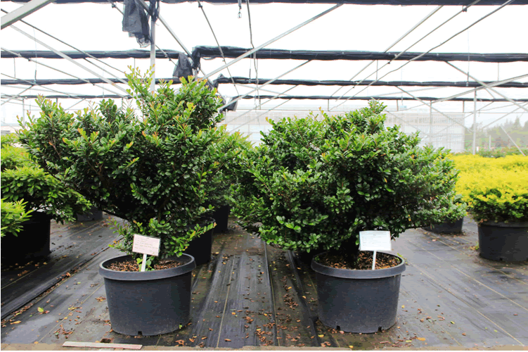 彩运网(中国游)官方网站