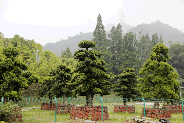 彩运网(中国游)官方网站