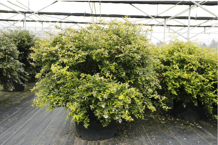 彩运网(中国游)官方网站