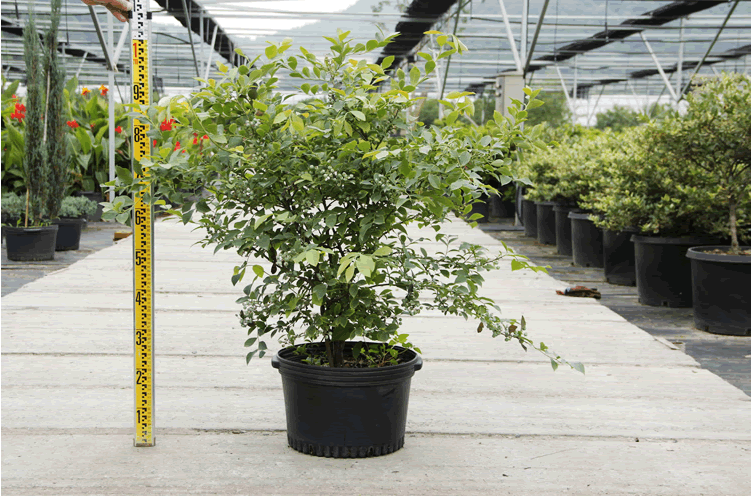 彩运网(中国游)官方网站