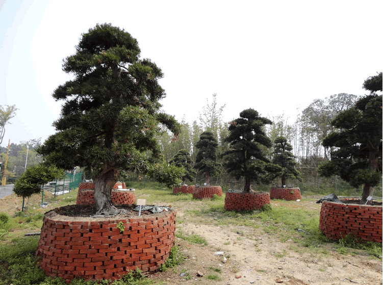 彩运网(中国游)官方网站