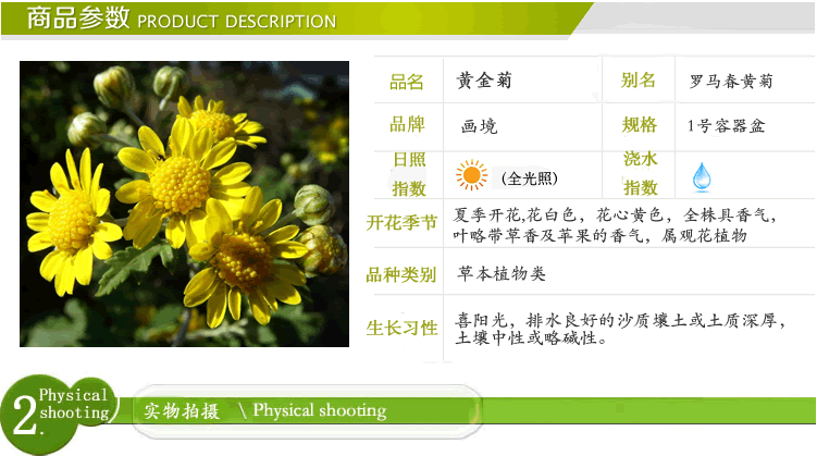 彩运网(中国游)官方网站