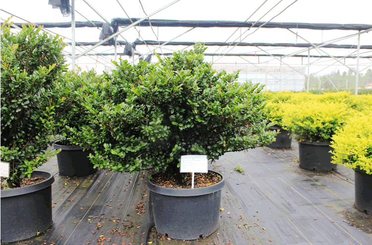 彩运网(中国游)官方网站