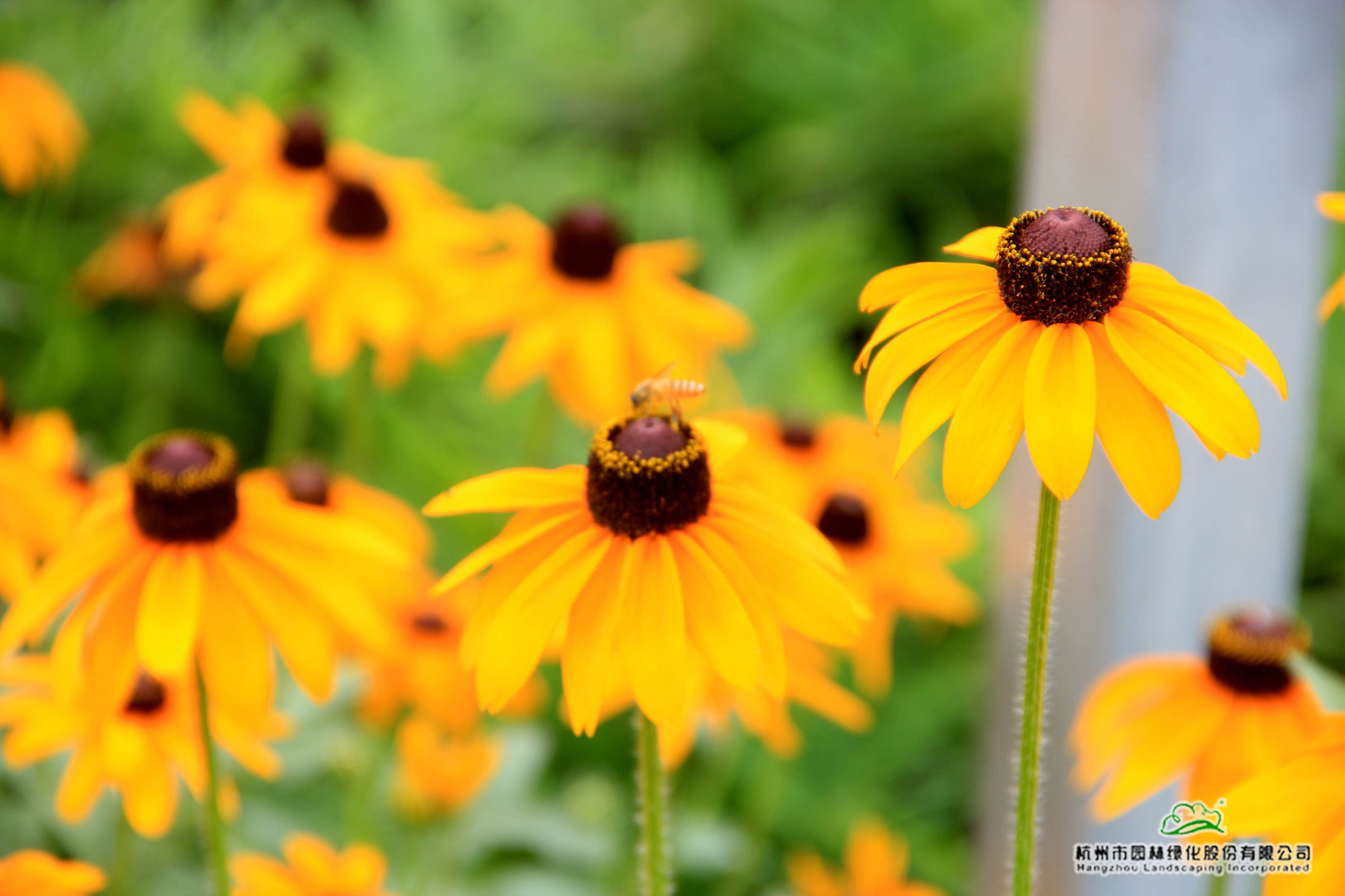 彩运网(中国游)官方网站