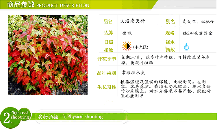 彩运网(中国游)官方网站