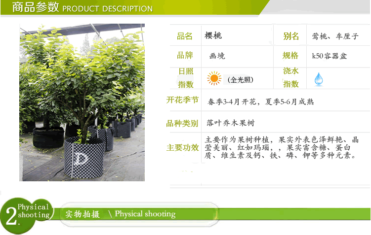 彩运网(中国游)官方网站