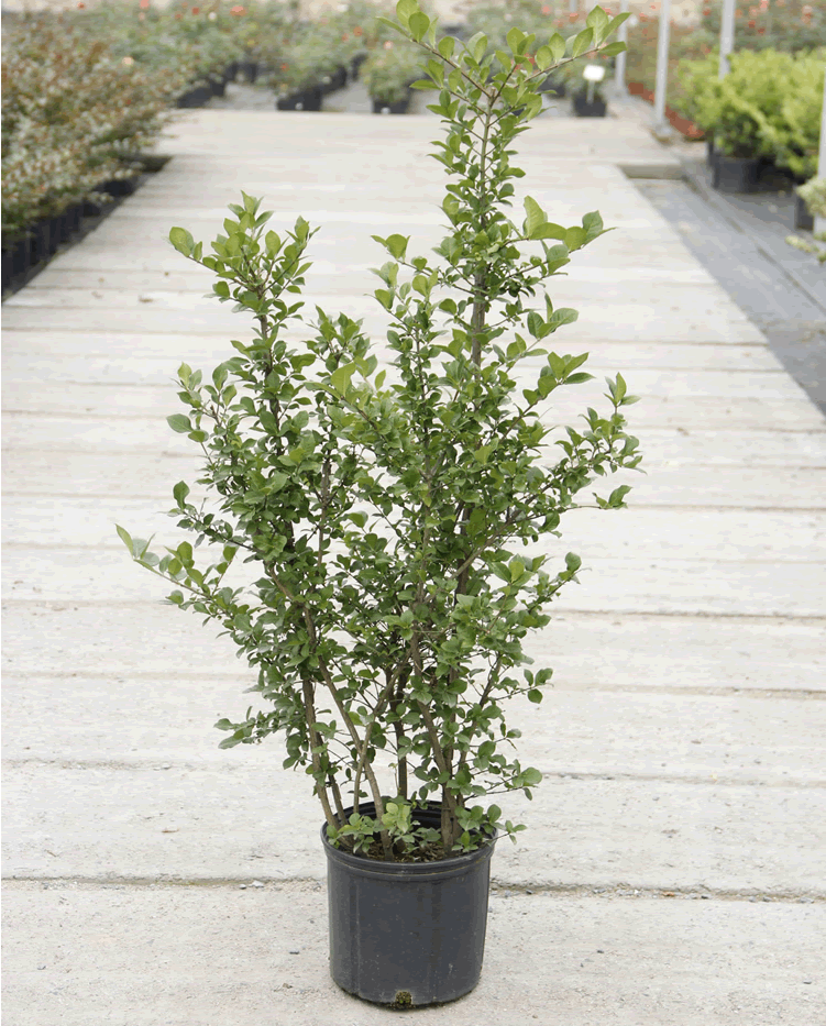 彩运网(中国游)官方网站