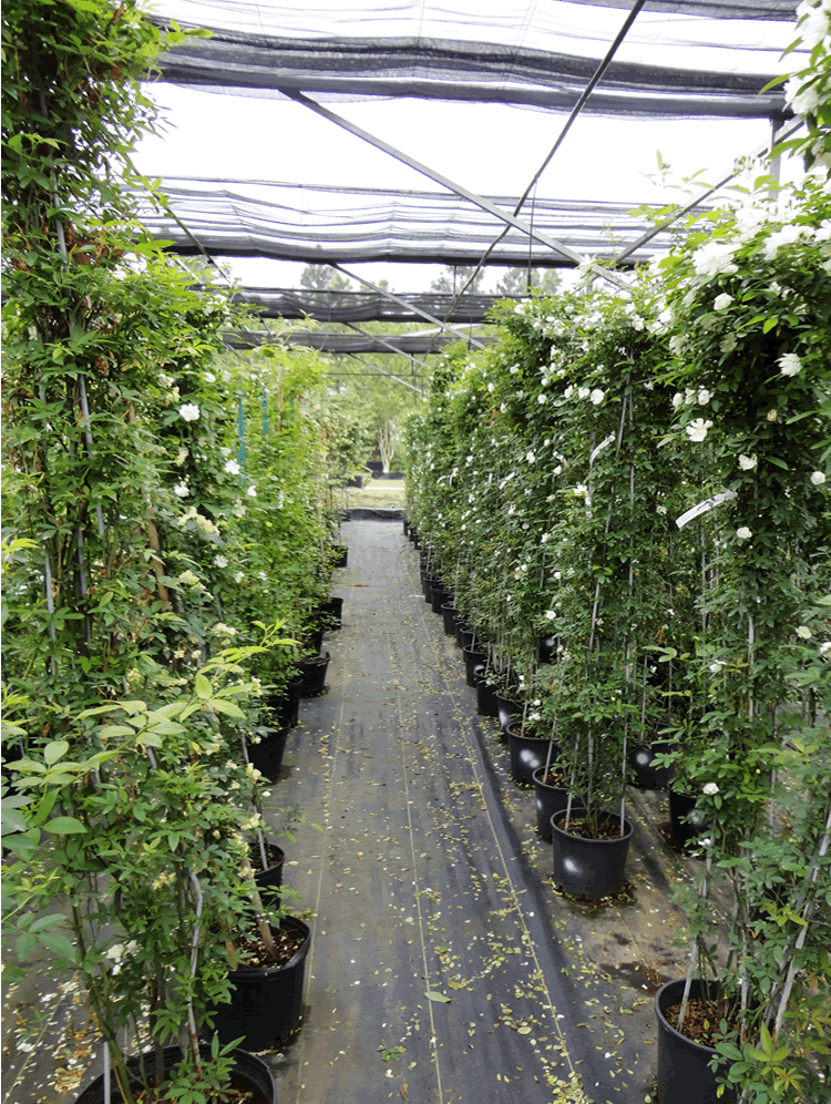 彩运网(中国游)官方网站