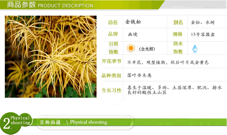 彩运网(中国游)官方网站