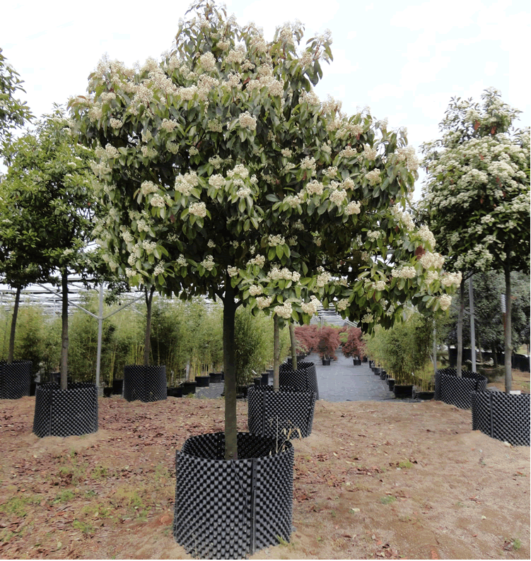 彩运网(中国游)官方网站