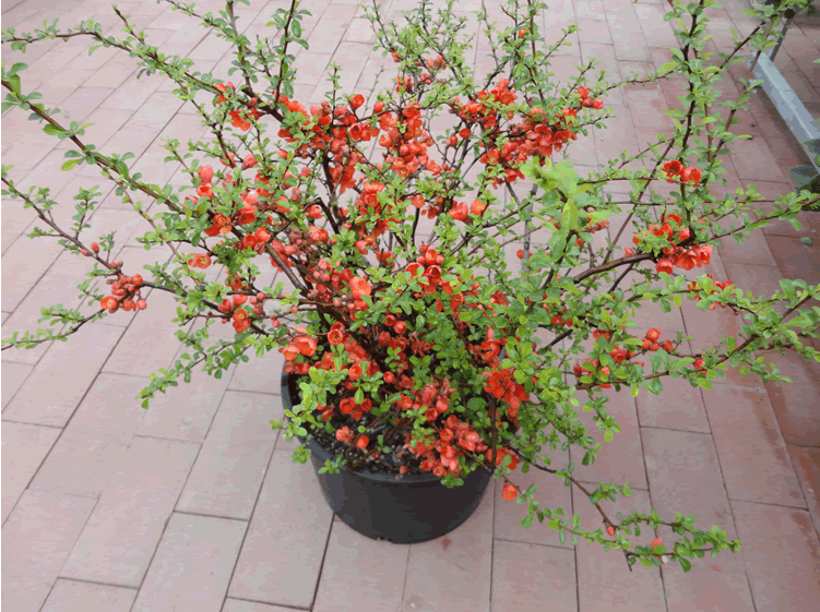 彩运网(中国游)官方网站