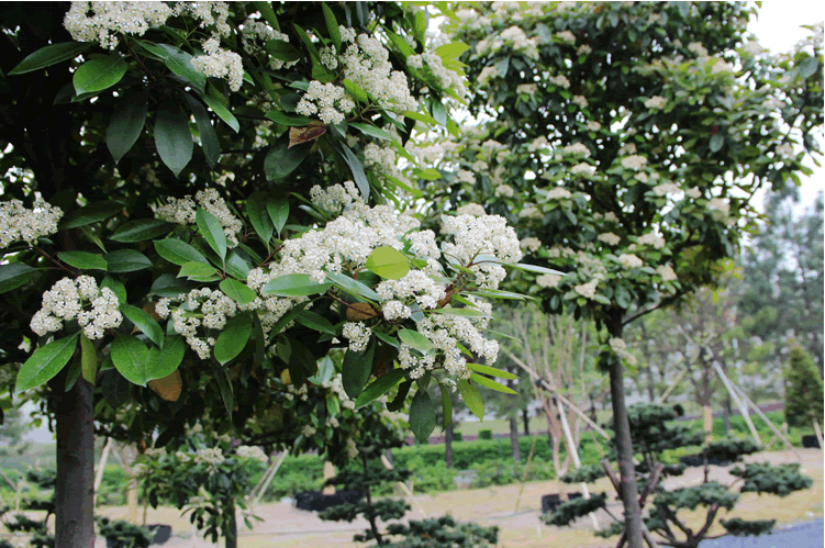 彩运网(中国游)官方网站
