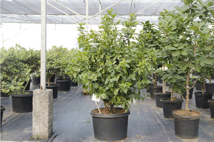 彩运网(中国游)官方网站