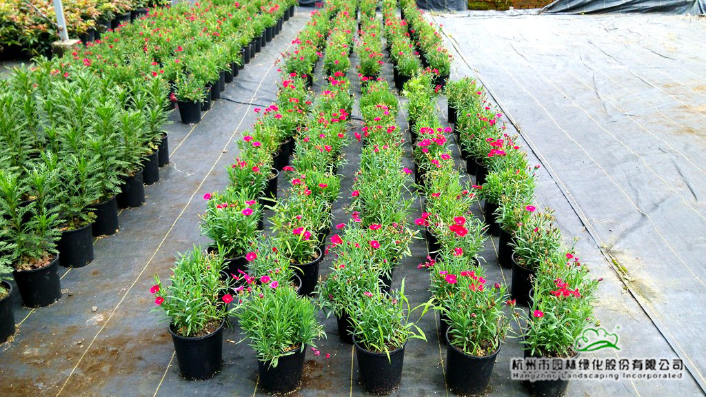 彩运网(中国游)官方网站