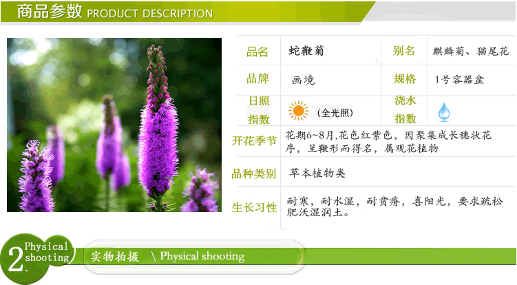 彩运网(中国游)官方网站