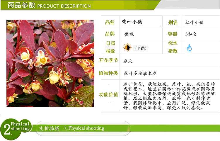 彩运网(中国游)官方网站