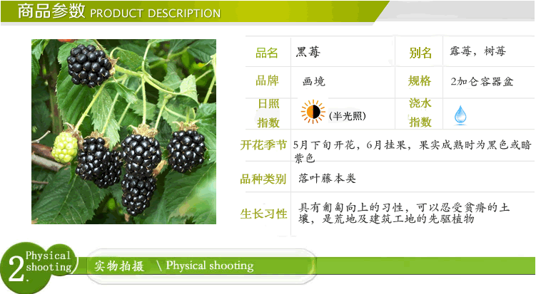 彩运网(中国游)官方网站