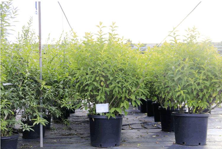 彩运网(中国游)官方网站