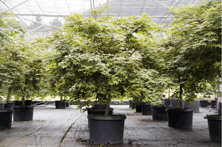 彩运网(中国游)官方网站