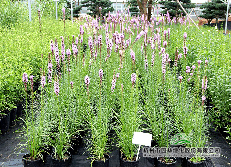 彩运网(中国游)官方网站