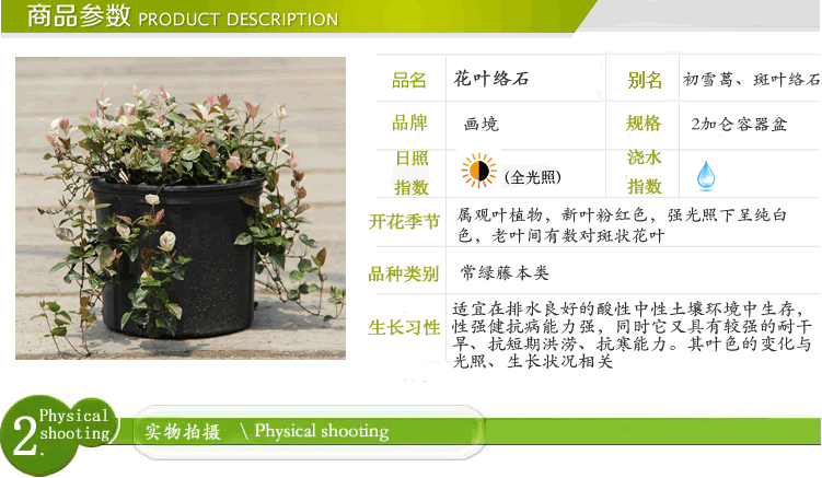 彩运网(中国游)官方网站