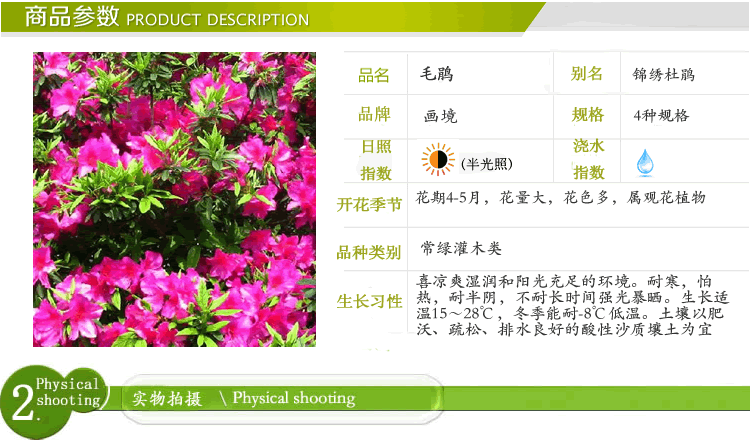 彩运网(中国游)官方网站