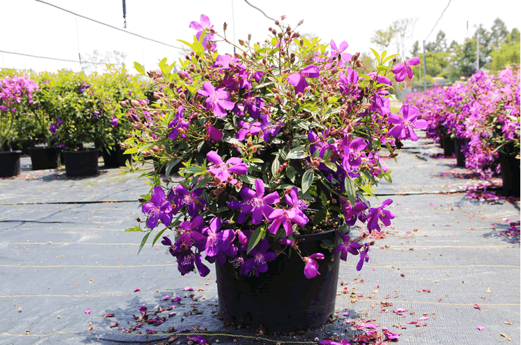 彩运网(中国游)官方网站