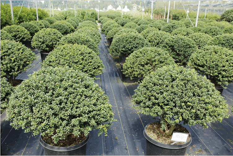 彩运网(中国游)官方网站