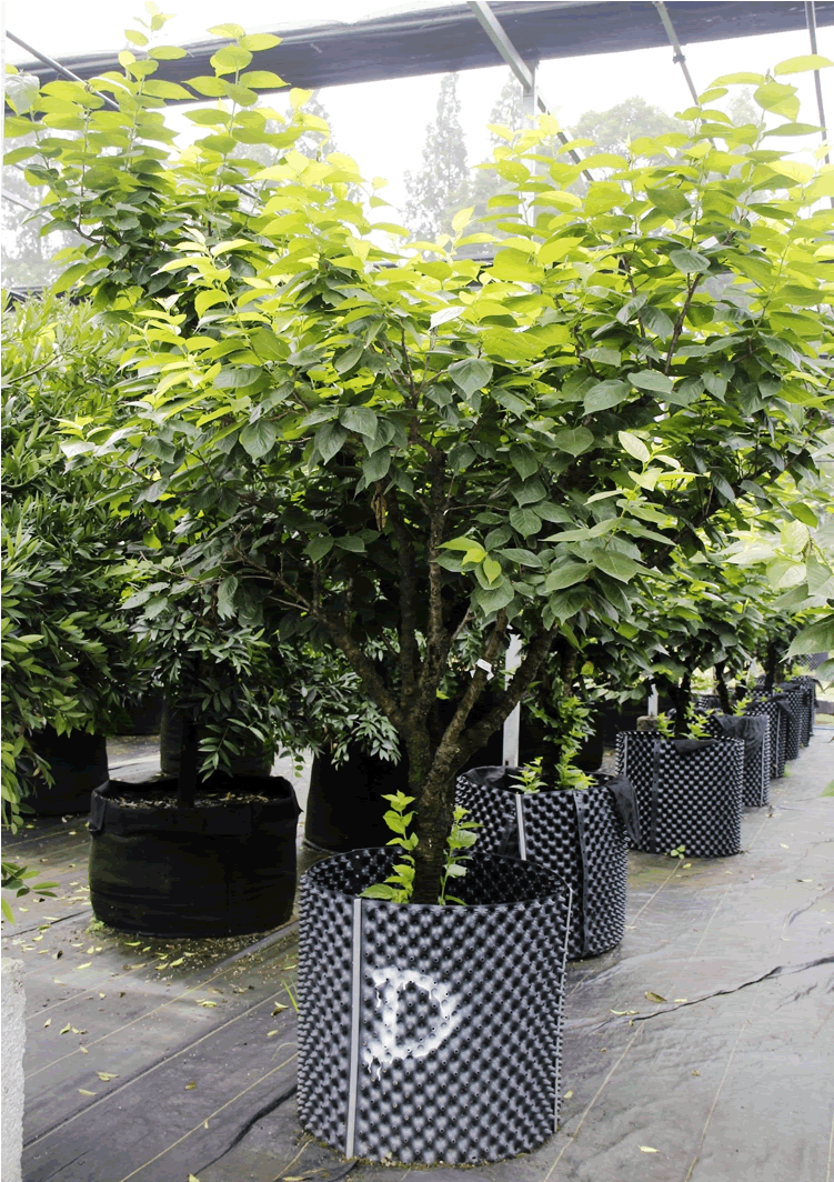 彩运网(中国游)官方网站