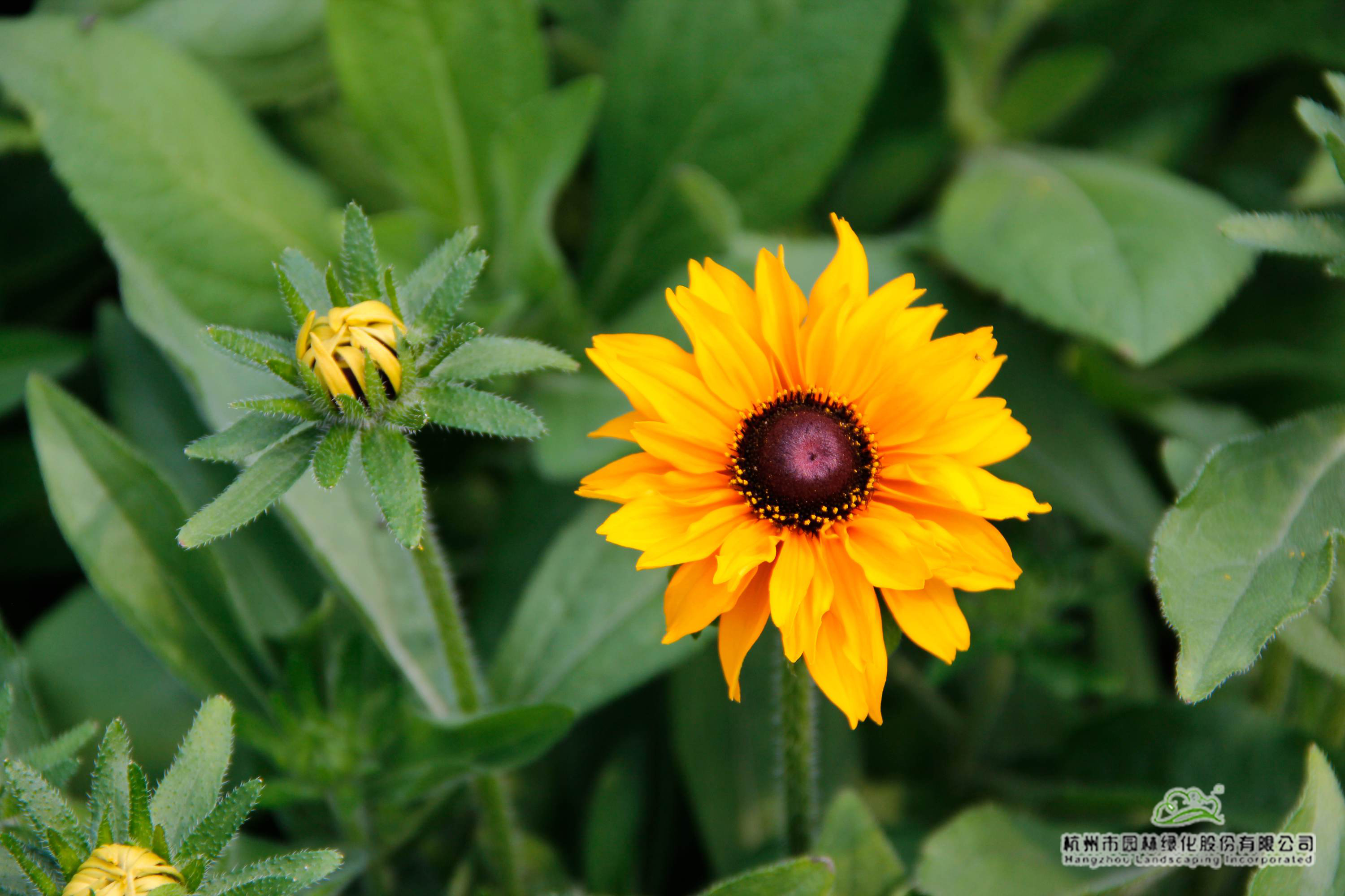 彩运网(中国游)官方网站