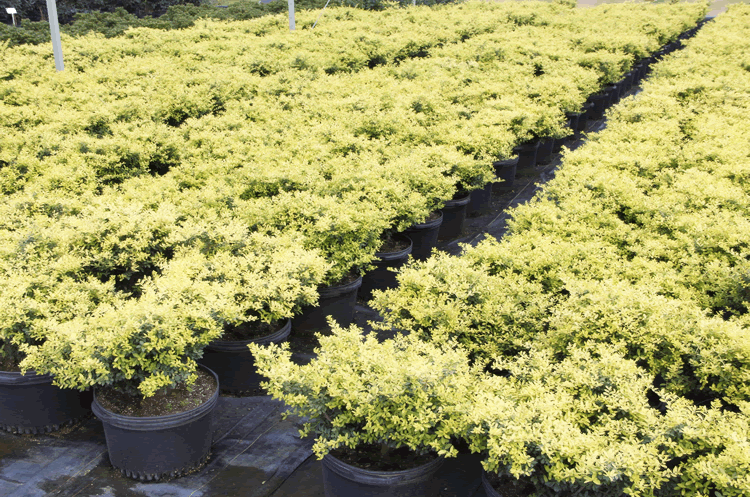 彩运网(中国游)官方网站