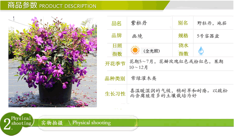 彩运网(中国游)官方网站