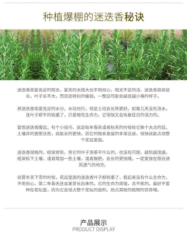 彩运网(中国游)官方网站