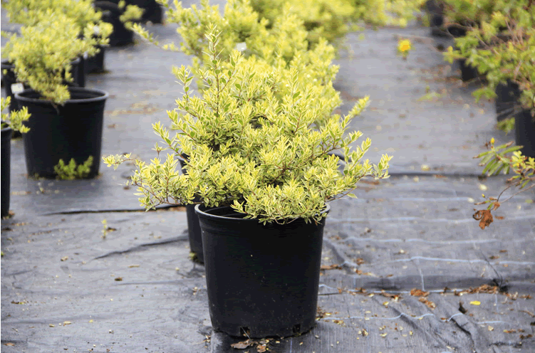 彩运网(中国游)官方网站