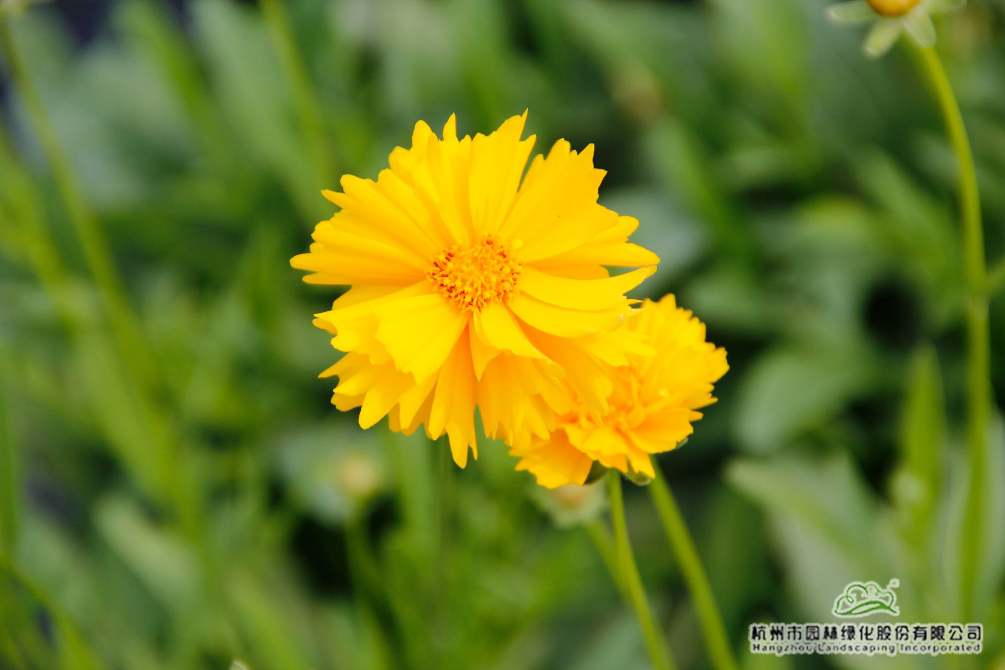 彩运网(中国游)官方网站