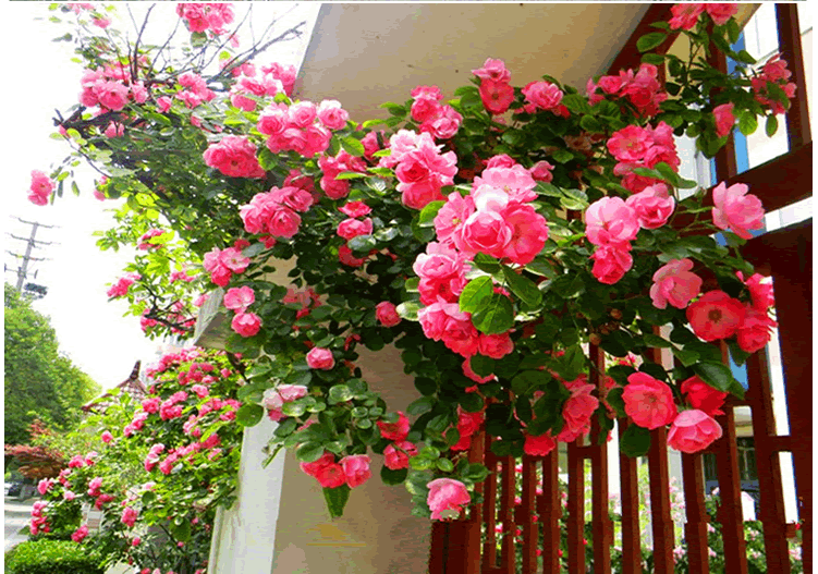 彩运网(中国游)官方网站