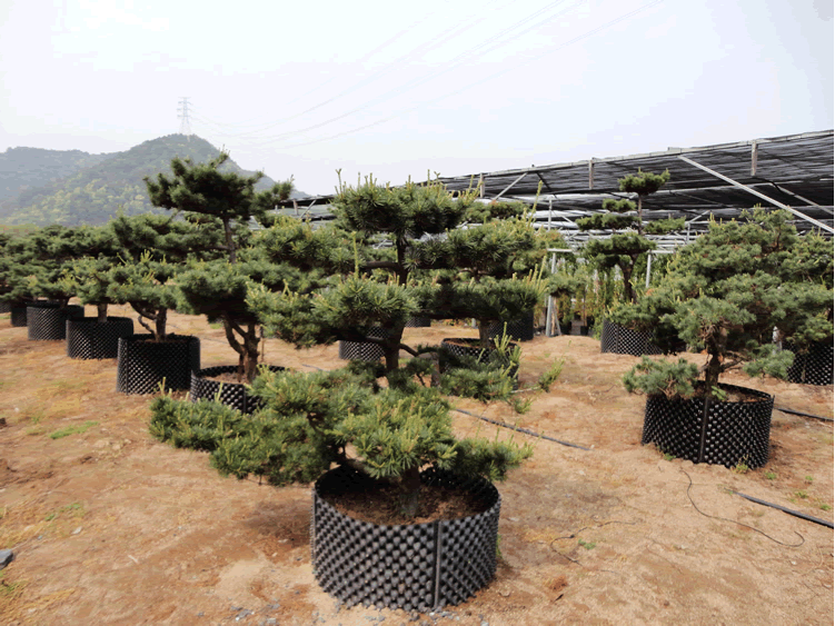 彩运网(中国游)官方网站