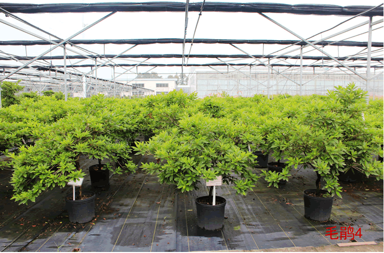 彩运网(中国游)官方网站