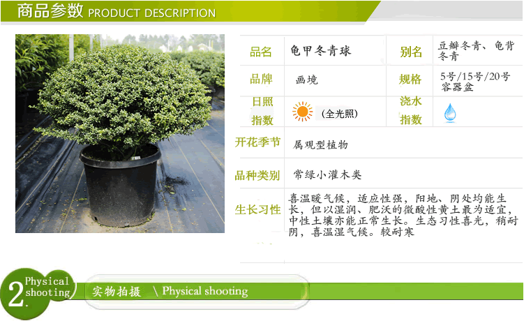 彩运网(中国游)官方网站