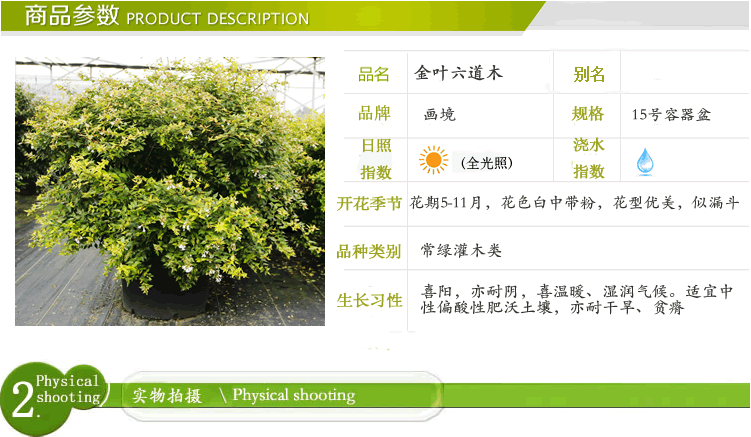 彩运网(中国游)官方网站