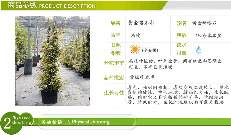 彩运网(中国游)官方网站