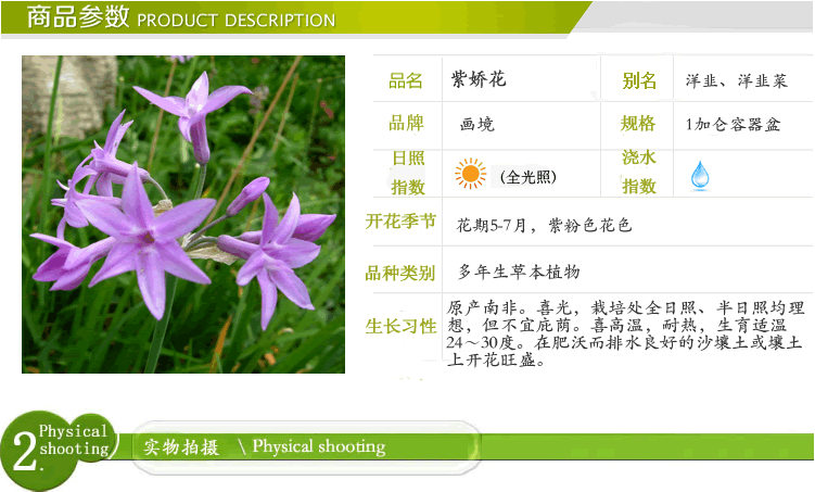 彩运网(中国游)官方网站