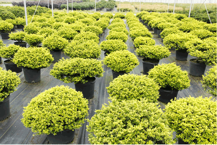 彩运网(中国游)官方网站