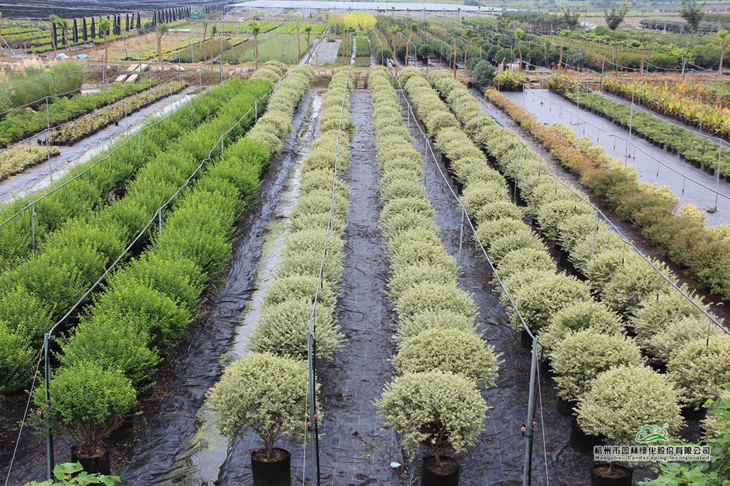 彩运网(中国游)官方网站