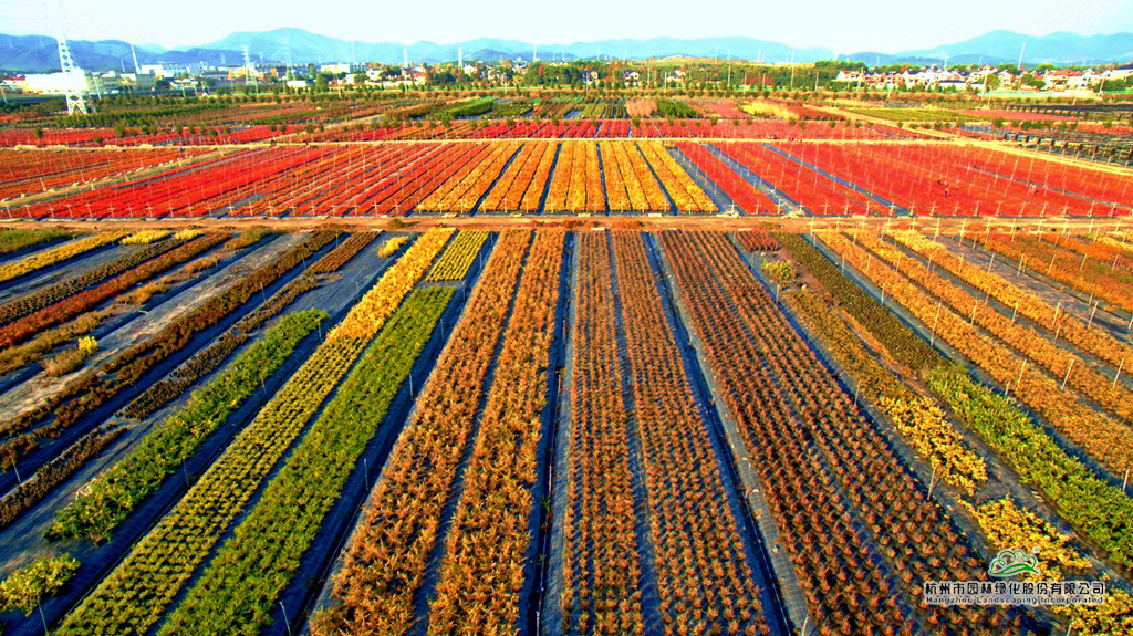 彩运网(中国游)官方网站